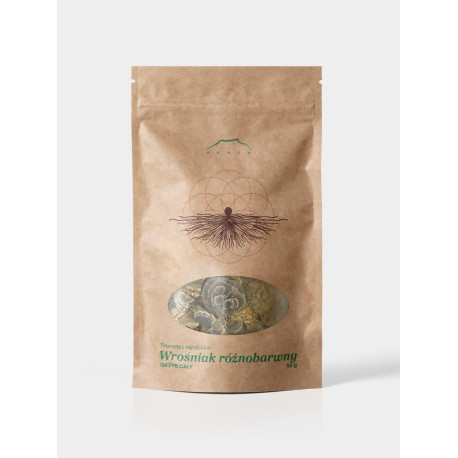 Ciupercă Phregnum multicoloră - tăiere de 50 g