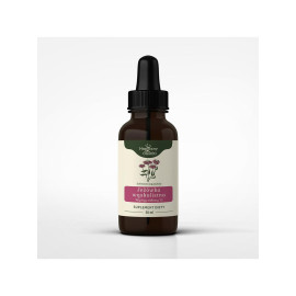 Tinctura Echinacea angustifolia 1:1 50 ml - 50 ml
