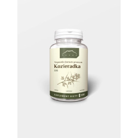 Extract de schinuc 40% capsule - 100