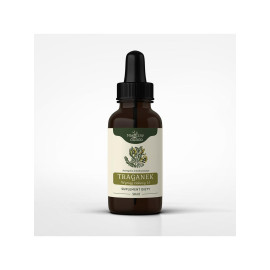 Tinctura Astragalus 1:1 50ml - 50ml