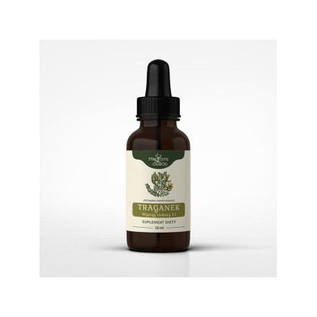 Tinctura Astragalus 1:1 50ml - 50ml