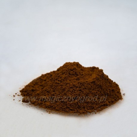 Chaga - Inonotus obliquus - 100g tocat