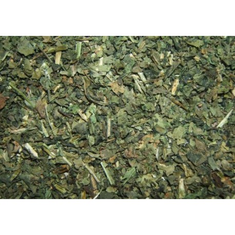 Isatis tinctoria - Isatis tinctoria - 250g tocat