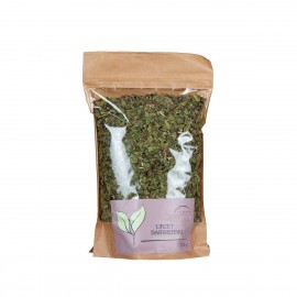 Isatis tinctoria - Isatis tinctoria - 250g tocat