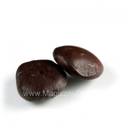 Plantă de vis africană - Entada rheedii - 16-20g semințe