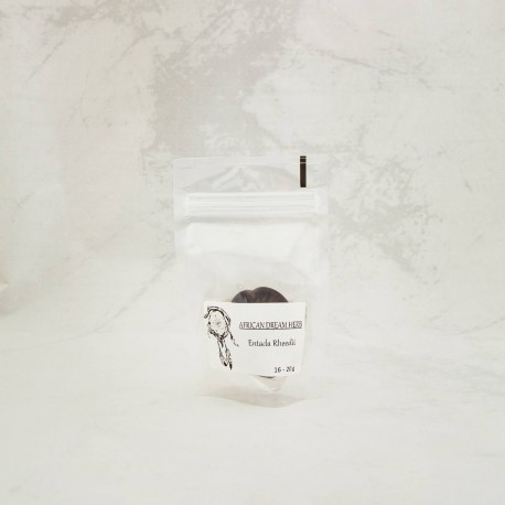 Plantă de vis africană - Entada rheedii - 16-20g semințe