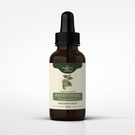 Krídlatka japonská tinktúra 1:1 50 ml - Polygonum cuspidatum - 50ml