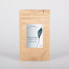 Rizom Calaguala - Phlebodium aureum - 50g măcinat