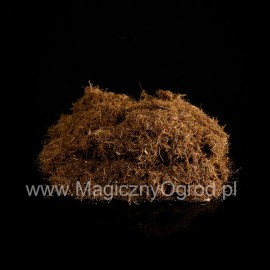 Tulpini de porumb - Stigma maydis - 100g