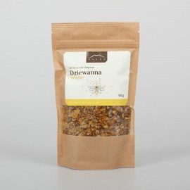 Mullein cu flori mici - Verbascum thapsus - 50g