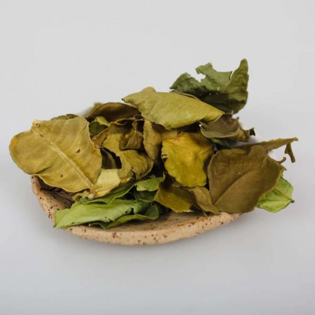 Lămâi - frunze - Kaffir - Citrus hystrix - 25g