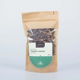 Plop negru - Populus nigra - 250g muguri