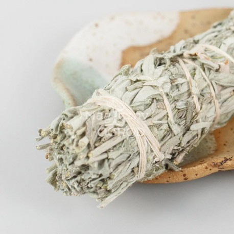 Buchet de pelin mic - Artemisia ludoviciana