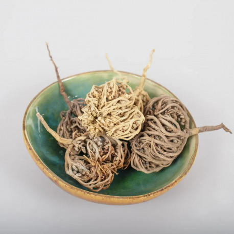 Anastatica hierochuntica - plantă - 100g