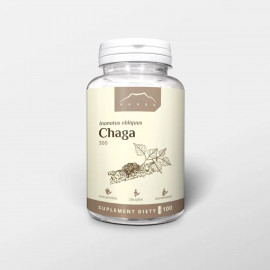 Chaga - Inonotus obliquus - extract (100 capsule x 300mg)