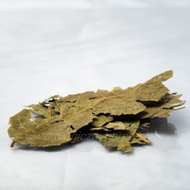 Frunze de nuc - Folium juglandis - 100g întregi