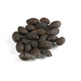 Extract de Saw Palmetto 45% - Serenoa repens - 100g