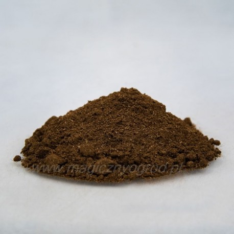 Urzică indiană - Coleus forskohlii - 50g tocat