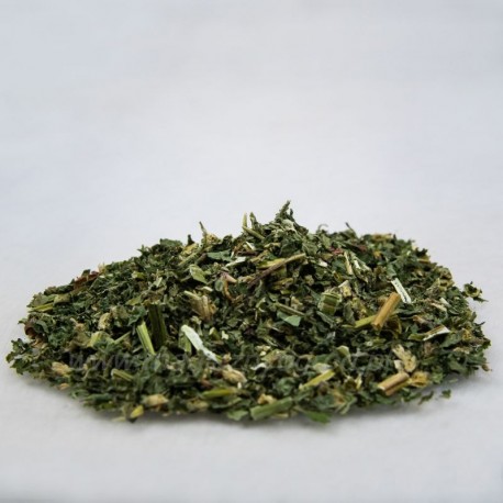 Galeopsis - Galeopsis tetrahit - 100g tocat