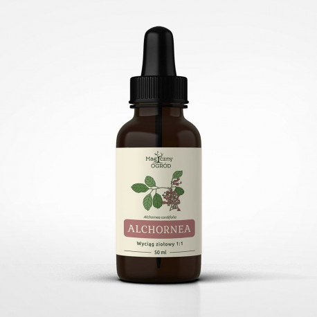 Tinctură de Alchornea cordifolia 1:1 - 50ml