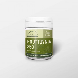Houttuynia 100 capsule x 250 mg comprimate